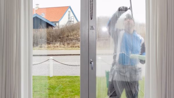 Window cleaner